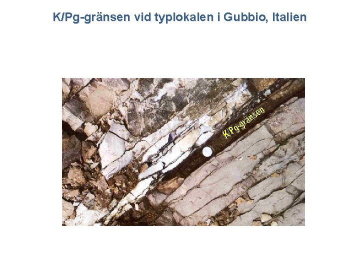 K/Pg-gränsen vid typlokalen i Gubbio, Italien 