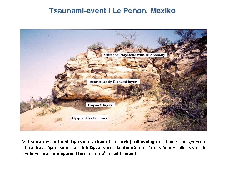 Lektion 6 Tsaunami-event i Le Peñon, Mexiko Vid stora meteoritnedslag (samt vulkanutbrott och jordbävningar)