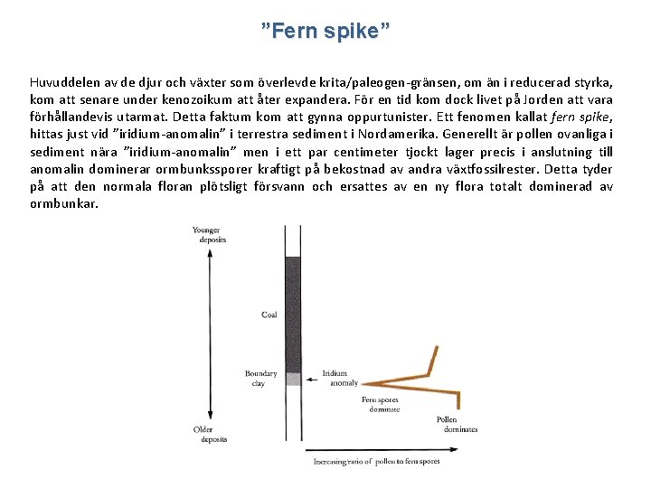 ”Fern spike” Huvuddelen av de djur och växter som överlevde krita/paleogen-gränsen, om än i