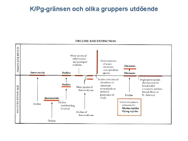 K/Pg-gränsen och olika gruppers utdöende 