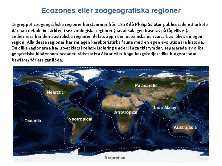 Ecozones eller zoogeografiska regioner Begreppet zoogeografiska regioner härstammar från 1858 då Philip Sclater publicerade