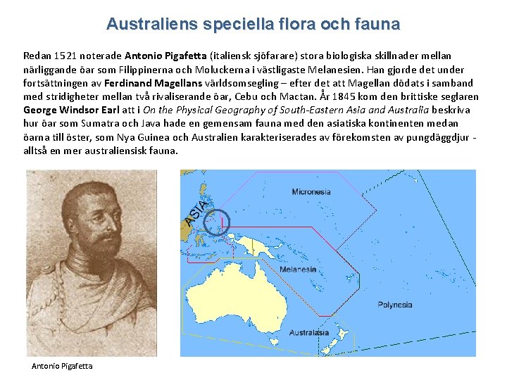 Australiens speciella flora och fauna Redan 1521 noterade Antonio Pigafetta (italiensk sjöfarare) stora biologiska