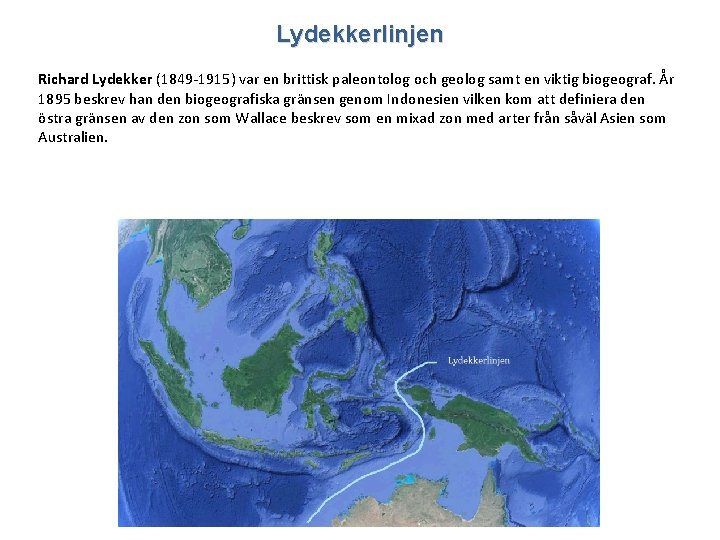 Lydekkerlinjen Richard Lydekker (1849 -1915) var en brittisk paleontolog och geolog samt en viktig