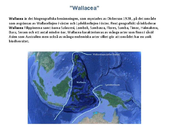 ”Wallacea” Wallacea är det biogeografiska benämningen, som myntades av Dickerson 1928 , på det