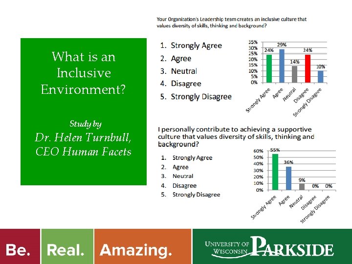 What is an Inclusive Environment? Study by Dr. Helen Turnbull, CEO Human Facets 