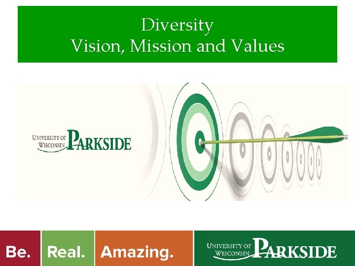 Diversity Vision, Mission and Values 