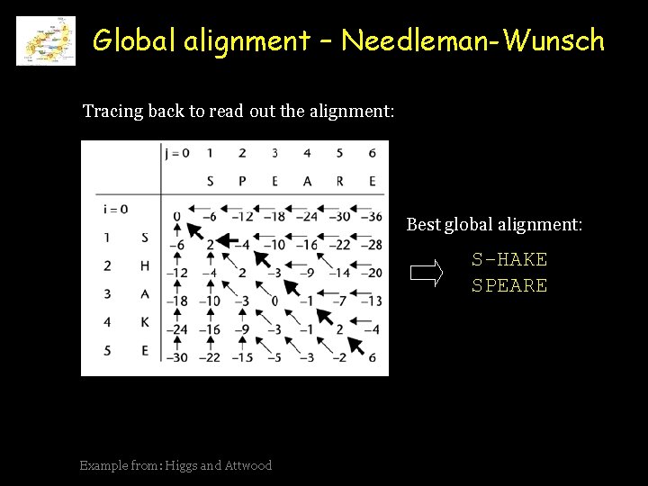 Global alignment – Needleman-Wunsch Tracing back to read out the alignment: Best global alignment: