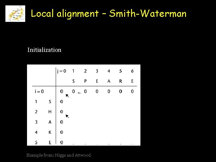 Local alignment – Smith-Waterman Initialization Example from: Higgs and Attwood 