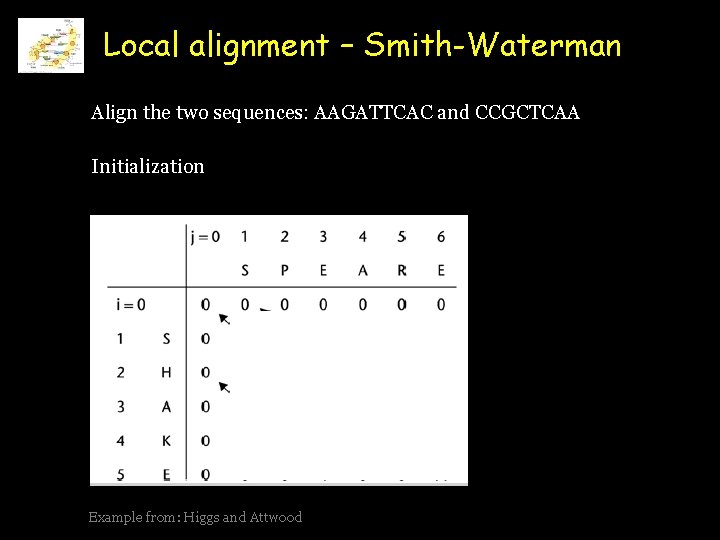 Local alignment – Smith-Waterman Align the two sequences: AAGATTCAC and CCGCTCAA Initialization Example from: