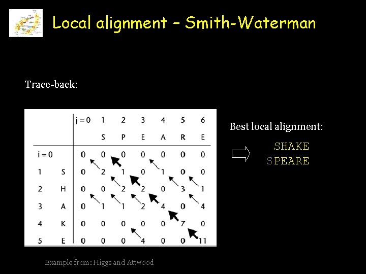 Local alignment – Smith-Waterman Trace-back: Best local alignment: SHAKE SPEARE Example from: Higgs and