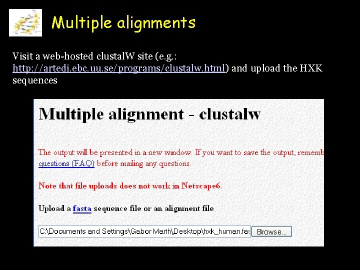 Multiple alignments Visit a web-hosted clustal. W site (e. g. : http: //artedi. ebc.