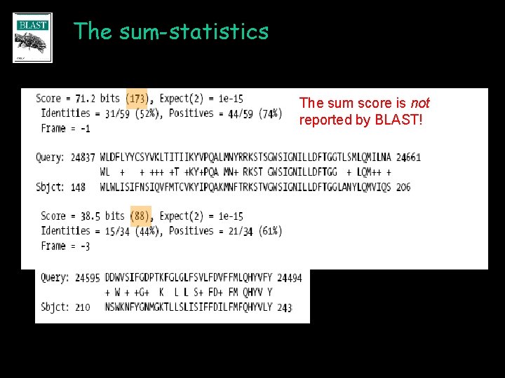 The sum-statistics The sum score is not reported by BLAST! 
