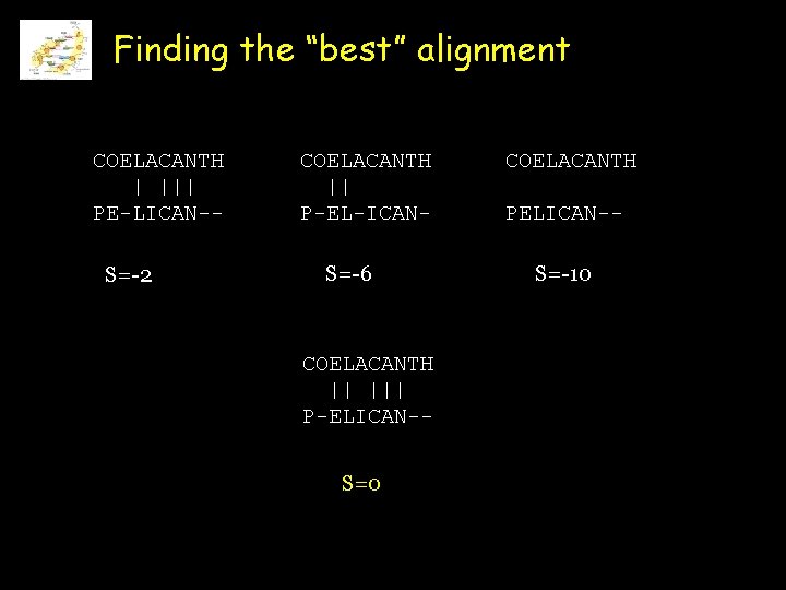 Finding the “best” alignment COELACANTH | ||| PE-LICAN-S=-2 COELACANTH || P-EL-ICANS=-6 COELACANTH || |||