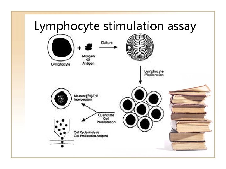 Lymphocyte stimulation assay Lymphocyte stimulation assay