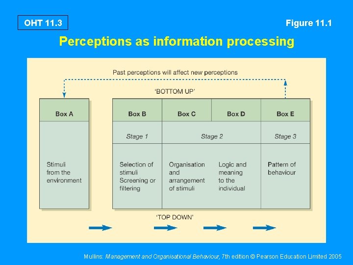 OHT 11. 3 Figure 11. 1 Perceptions as information processing Mullins: Management and Organisational