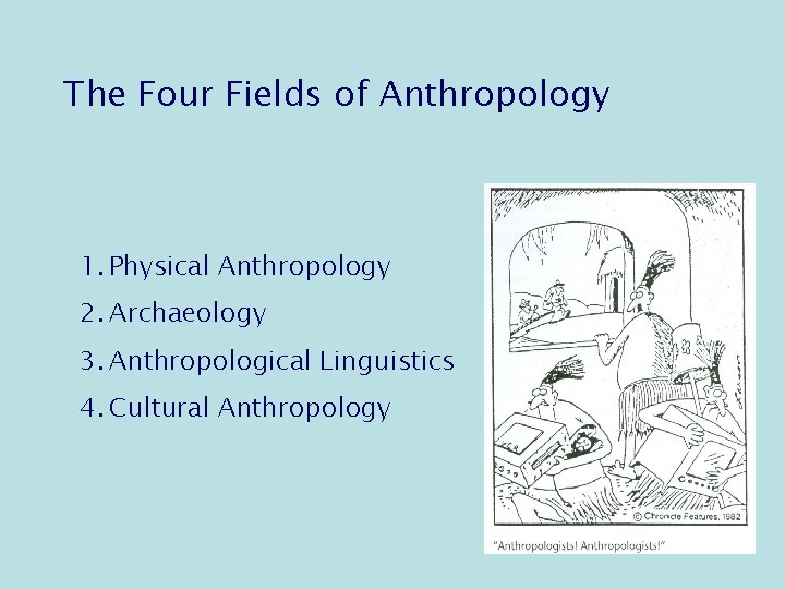 The Four Fields of Anthropology 1. Physical Anthropology 2. Archaeology 3. Anthropological Linguistics 4.