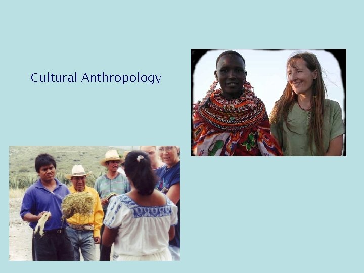 Cultural Anthropology 