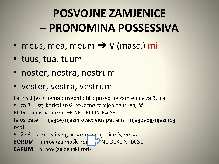 POSVOJNE ZAMJENICE – PRONOMINA POSSESSIVA • • meus, mea, meum ➔ V (masc. )