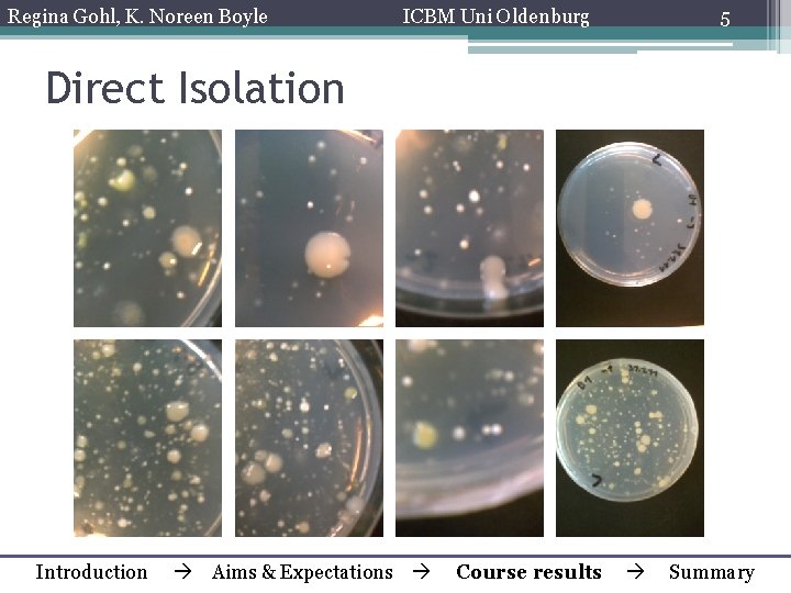 Regina Gohl, K. Noreen Boyle ICBM Uni Oldenburg 5 Direct Isolation Introduction Aims &