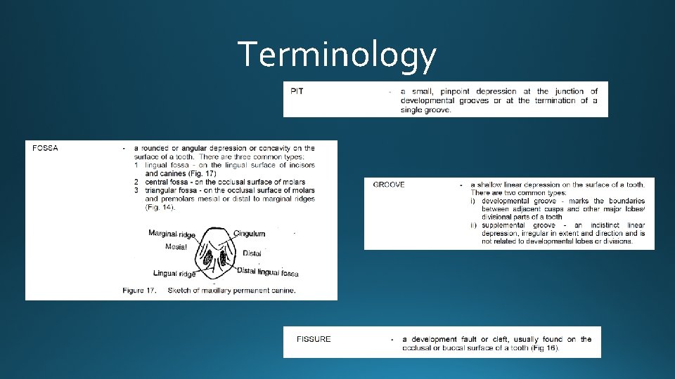 Terminology 