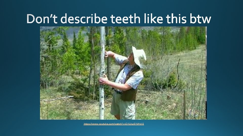 https: //www. youtube. com/watch? v=DXU 3 o 8 YW 3 K 8 