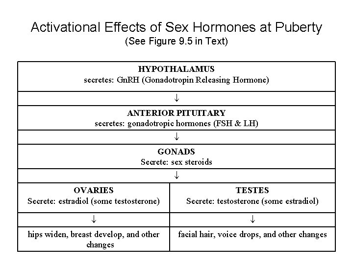 Activational Effects of Sex Hormones at Puberty (See Figure 9. 5 in Text) HYPOTHALAMUS