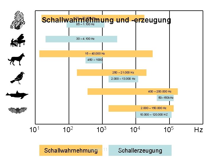 Schallwahrnehmung und -erzeugung 20 – 20. 000 Hz 85 – 1. 100 Hz 30