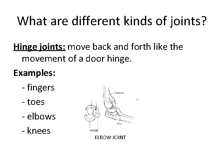 What are different kinds of joints? Hinge joints: move back and forth like the