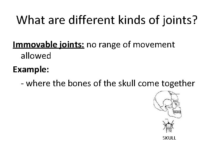 What are different kinds of joints? Immovable joints: no range of movement allowed Example: