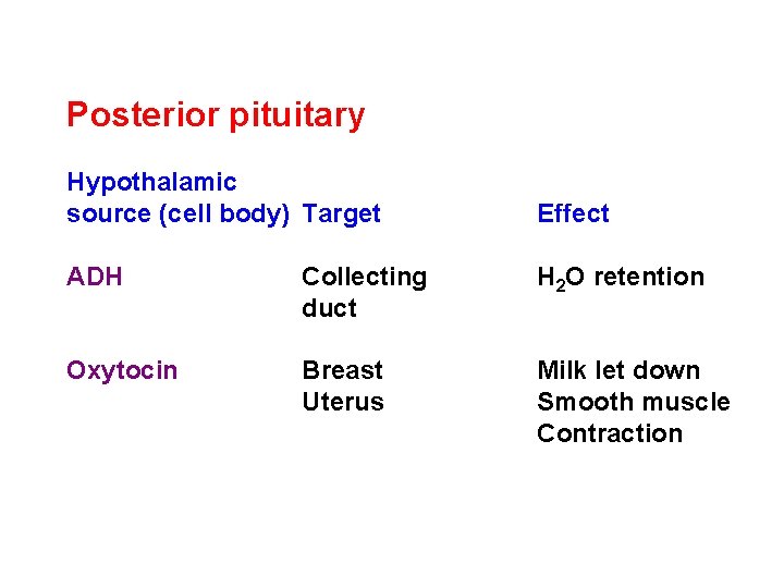Posterior pituitary Hypothalamic source (cell body) Target Effect ADH Collecting duct H 2 O