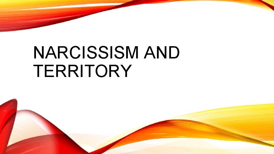 NARCISSISM AND TERRITORY 