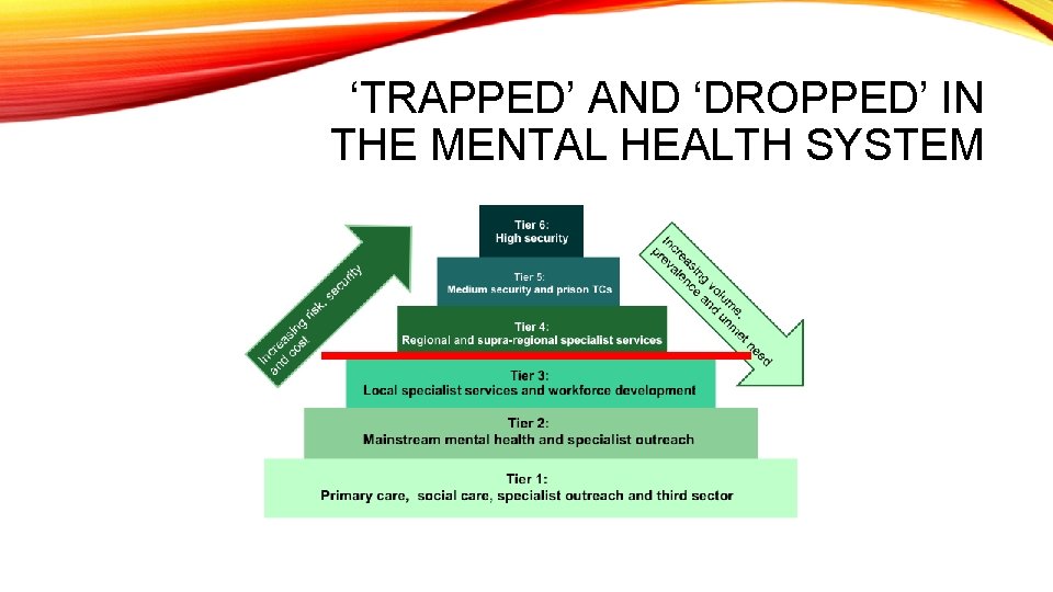 ‘TRAPPED’ AND ‘DROPPED’ IN THE MENTAL HEALTH SYSTEM 