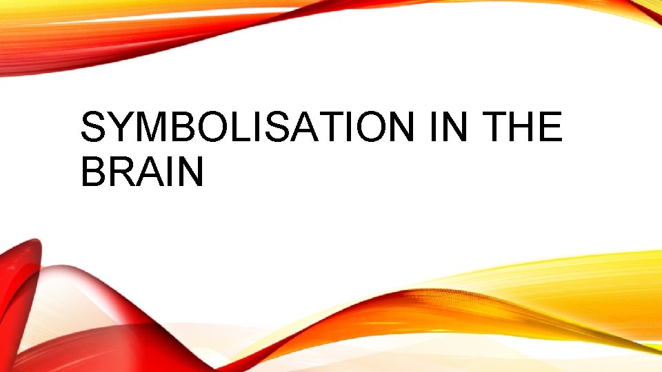 SYMBOLISATION IN THE BRAIN 