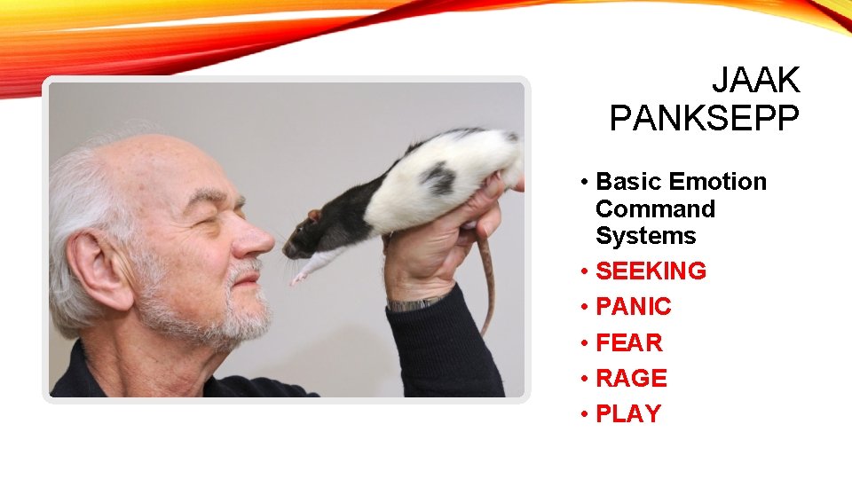 JAAK PANKSEPP • Basic Emotion Command Systems • SEEKING • PANIC • FEAR •