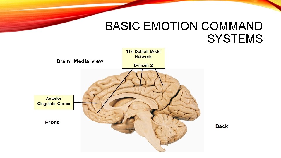BASIC EMOTION COMMAND SYSTEMS 