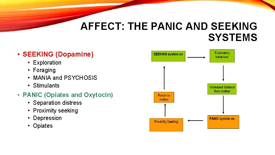 AFFECT: THE PANIC AND SEEKING SYSTEMS • SEEKING (Dopamine) • • Exploration Foraging MANIA