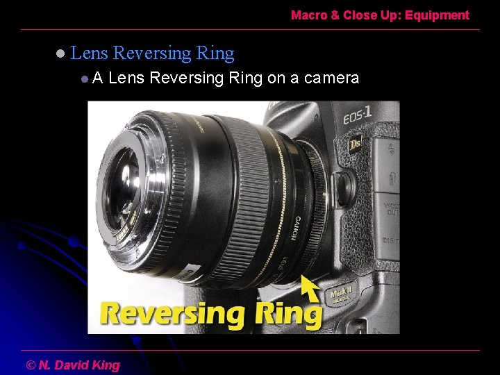 Macro & Close Up: Equipment l Lens Reversing Ring l. A Lens Reversing Ring