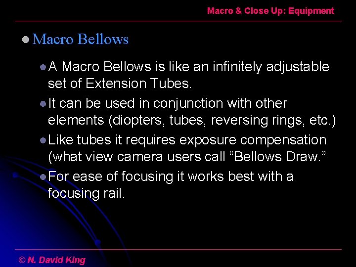 Macro & Close Up: Equipment l Macro Bellows l. A Macro Bellows is like