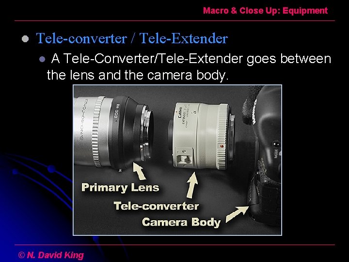 Macro & Close Up: Equipment l Tele-converter / Tele-Extender l A Tele-Converter/Tele-Extender goes between
