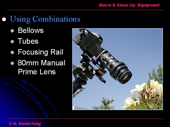 Macro & Close Up: Equipment l Using Combinations l l Bellows Tubes Focusing Rail