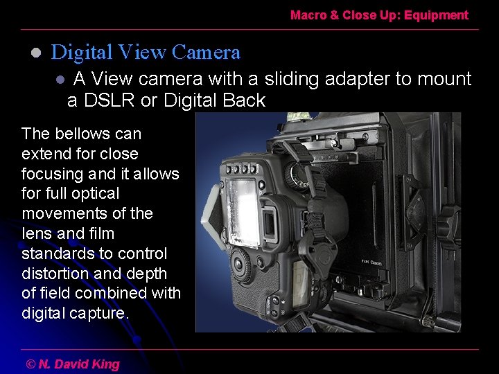 Macro & Close Up: Equipment l Digital View Camera l A View camera with