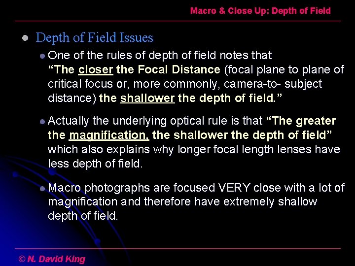 Macro & Close Up: Depth of Field l Depth of Field Issues l One