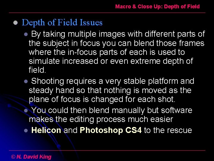 Macro & Close Up: Depth of Field l Depth of Field Issues By taking