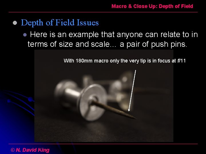 Macro & Close Up: Depth of Field l Depth of Field Issues l Here