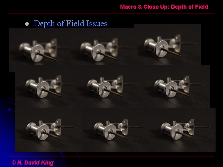 Macro & Close Up: Depth of Field l Depth of Field Issues l Here