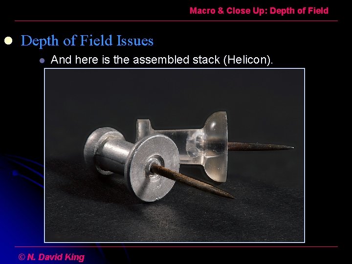 Macro & Close Up: Depth of Field l Depth of Field Issues l And