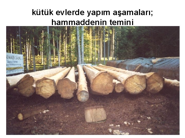 kütük evlerde yapım aşamaları; hammaddenin temini 