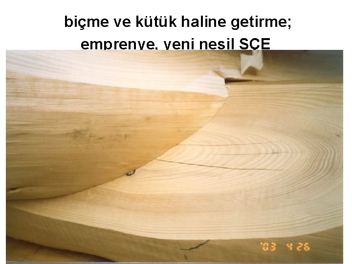 biçme ve kütük haline getirme; emprenye, yeni nesil SÇE 