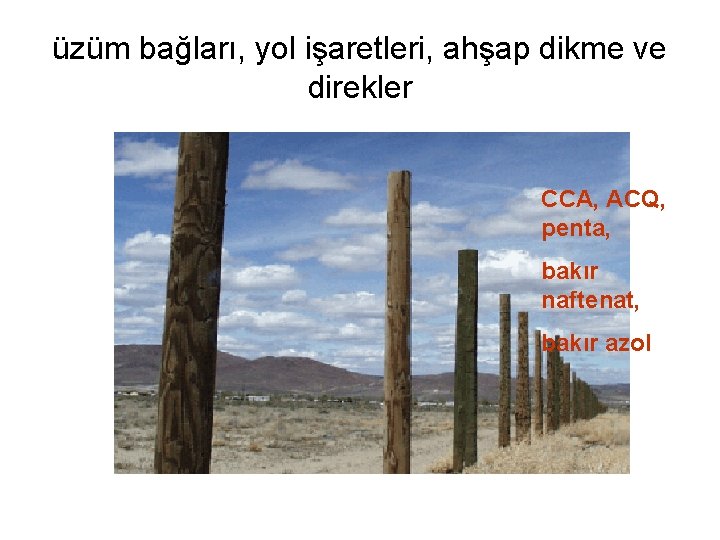 üzüm bağları, yol işaretleri, ahşap dikme ve direkler CCA, ACQ, penta, bakır naftenat, bakır