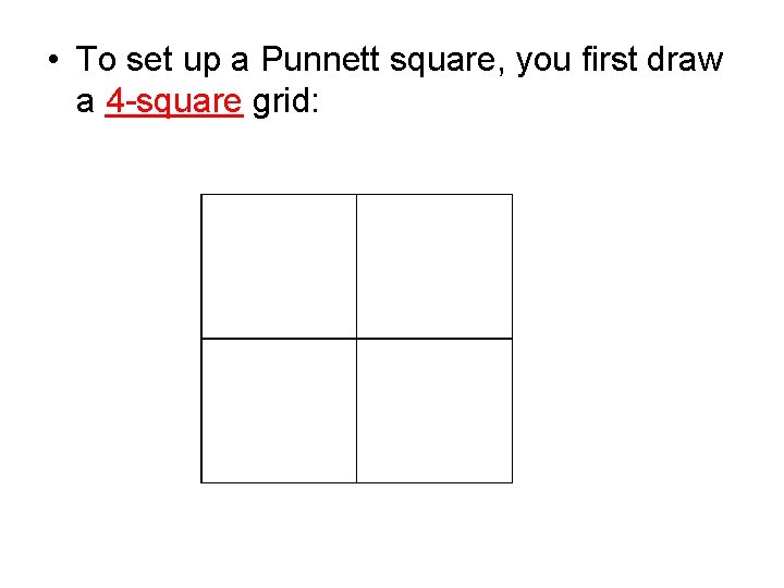  • To set up a Punnett square, you first draw a 4 -square